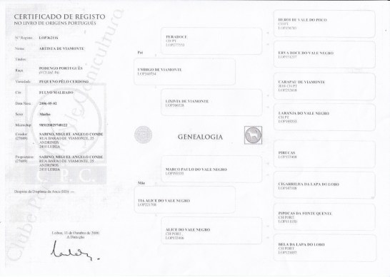 Artista de Viamonte Ahnentafel