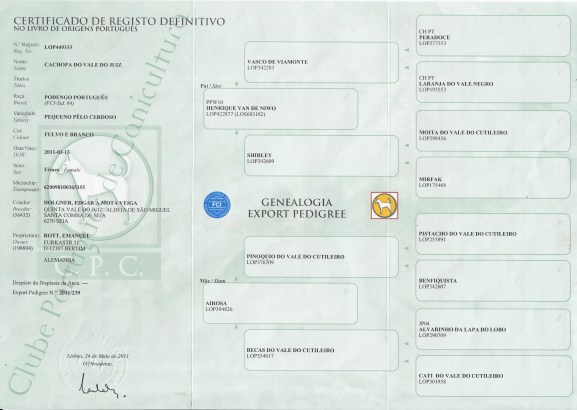 Cachopa do Vale do Juiz Ahnentafel