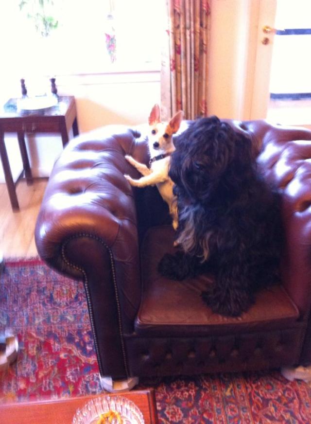 Filomena mit großer Schwester