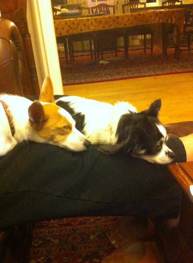 Filomena-Mittagschlaf2