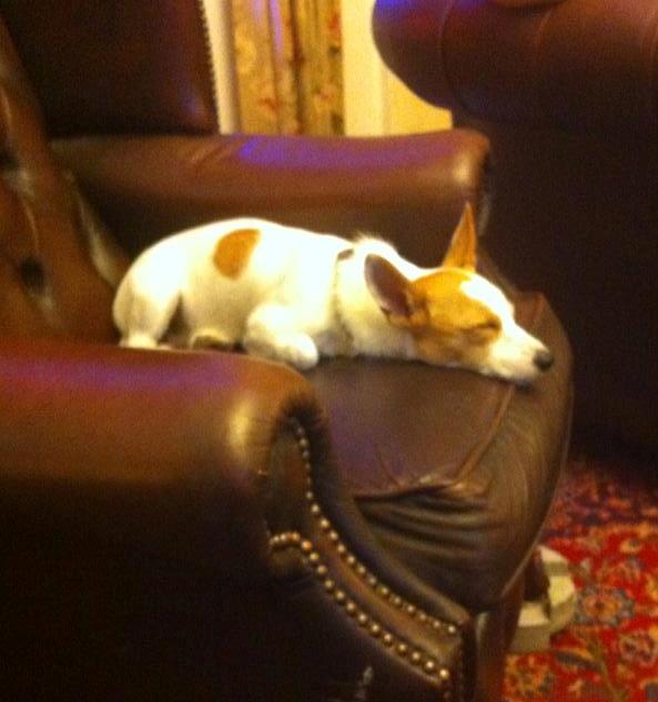 FTlomena in Dänemark1 - Kopie