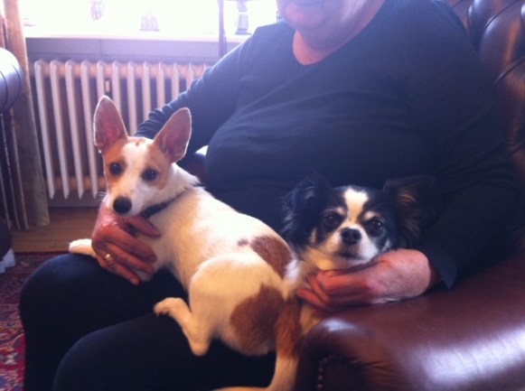 FTlomena in Dänemark2