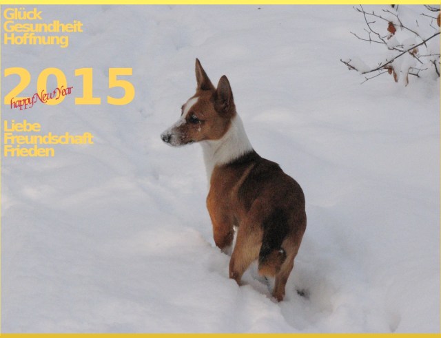 happynewyear_