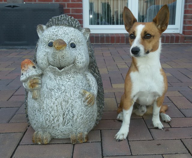 20160406 Fernando undigel