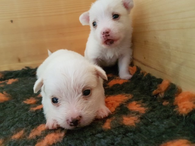 heloisa und Habito.jpg