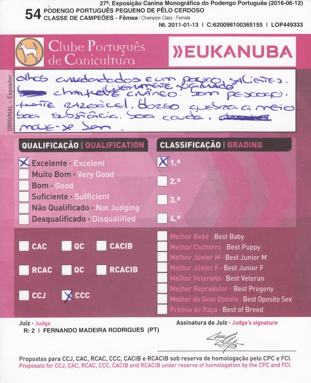 20160612 Monográfica