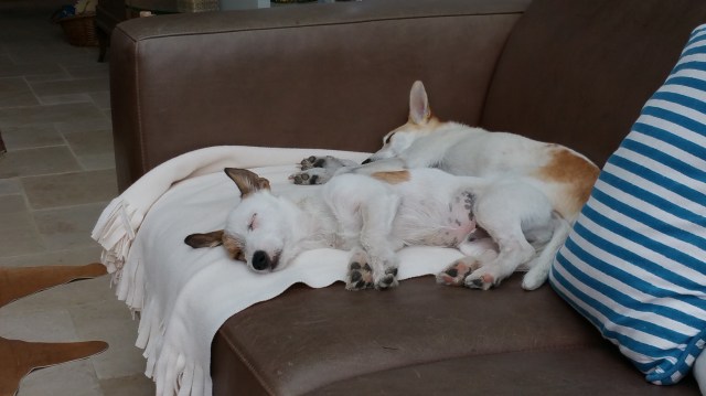 20160905angekommen-1