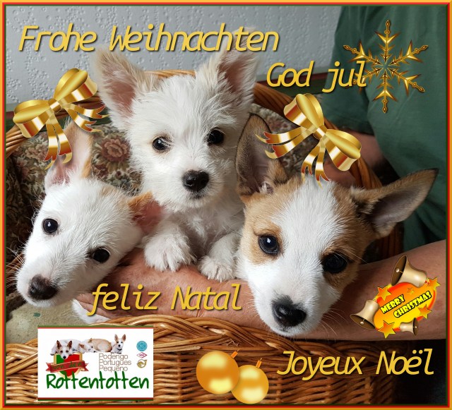 weihnachten2016